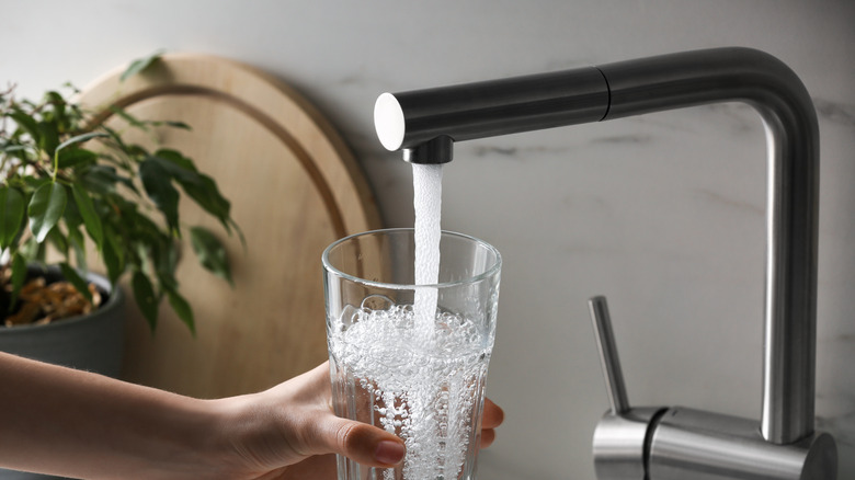 Woman's hand holding a glass being filled with water from a kitchen faucet