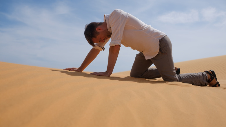 Thirsty man is crawling on all fours in the desert