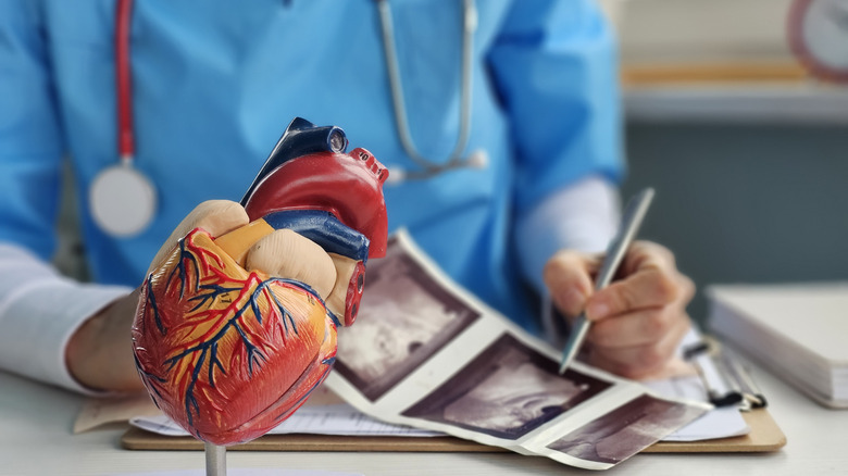 Doctor with a model of the heart looking at imaging tests