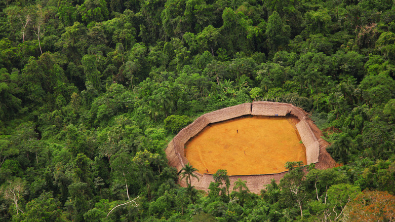 Aerial view of a Yanomami community home in forest