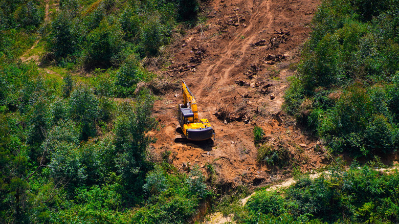 Aerial view of deforestation and empty soil in middle of forest