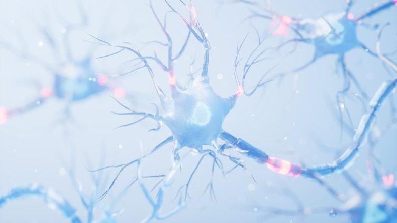 illustration of neuron activity