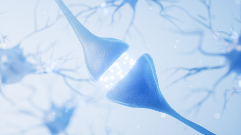 illustration of neural synapse signaling