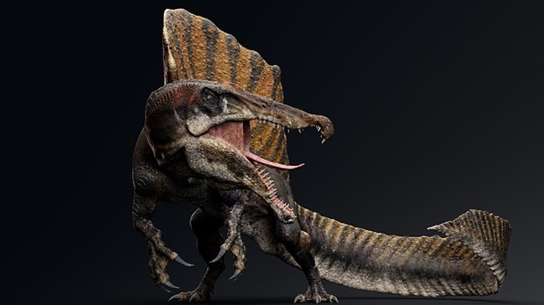 Artist's rendition of a Spinosaurus