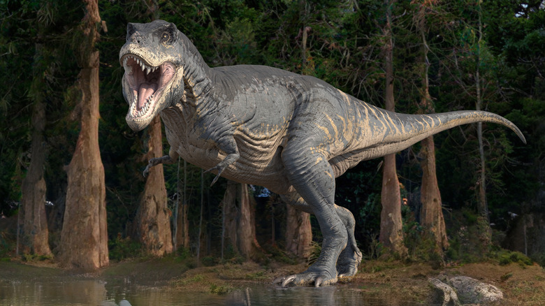 A Tyrannosaurus rex stands roaring in front of a line of trees