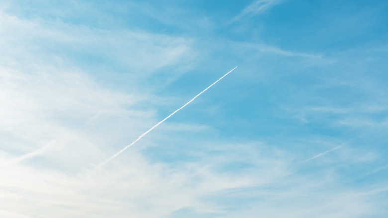 A plane and its contrail in the sky