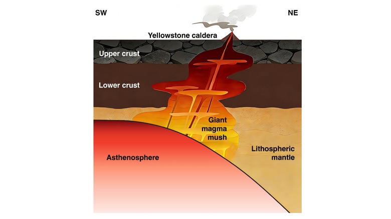 Schematics of Yellowstone's magmatic system