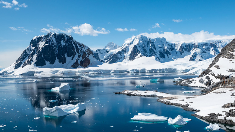 A bay at Port Charcot, Booth Island, Antarctica is seen beneath a blue sky