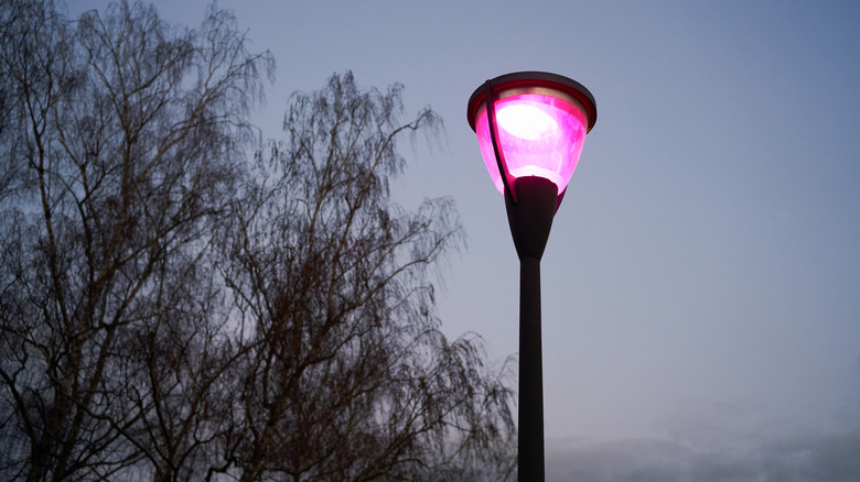 street lamp glowing purple