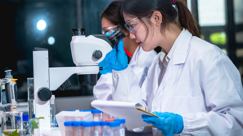 Scientists examining samples under microscope