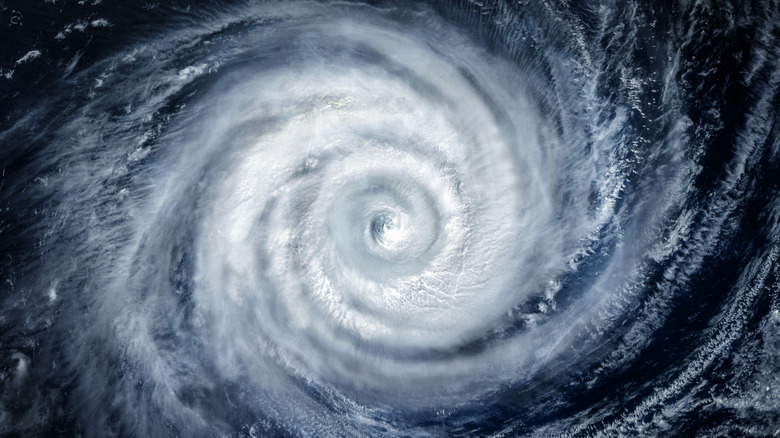 A satellite view of a typhoon.