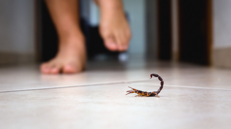 Bare feet walking towards a small scorpion sitting on tile floor