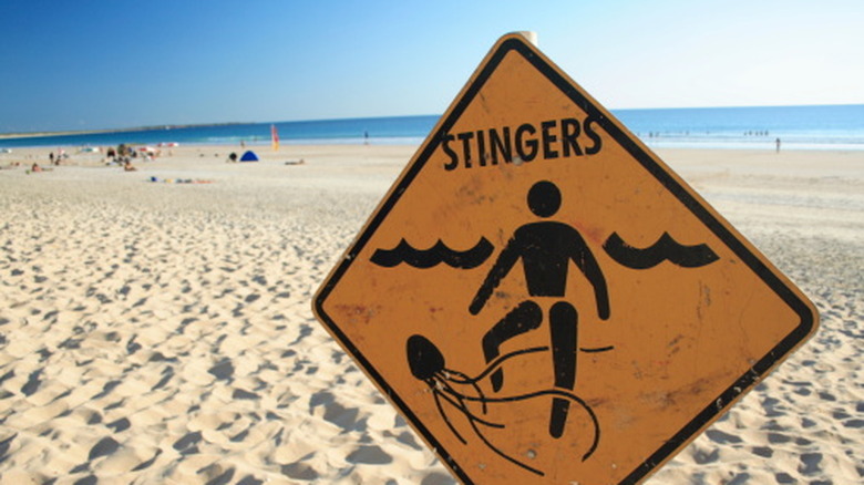 Sign on a beach warning of the presence of "stingers" (aka. box jellyfish)