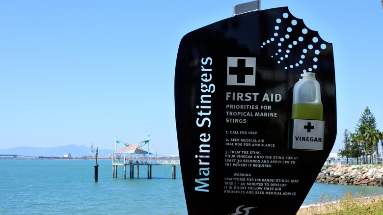 A first-aid station with a bottle of vinegar and instructions on how to use it to treat stings