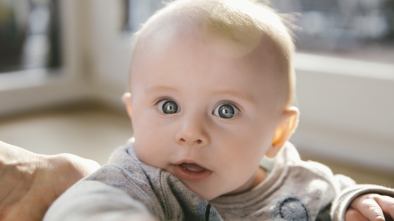 Close-up of baby staring straight ahead