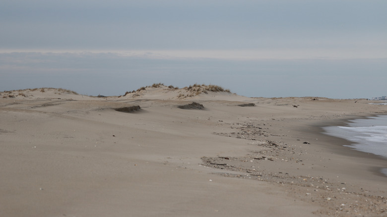 Sandy beach showing signs of erosion