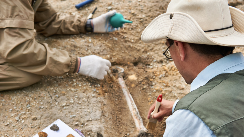 Paleontologists working in the rock