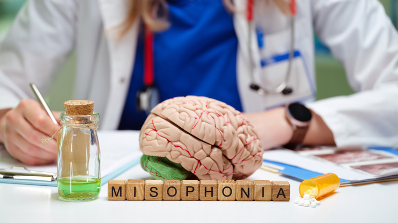 The word misophonia written in scrabble letters in front of a plastic brain, flanked by a bottle of pills and a bottle with green liquid, while a scientist takes notes in the background.
