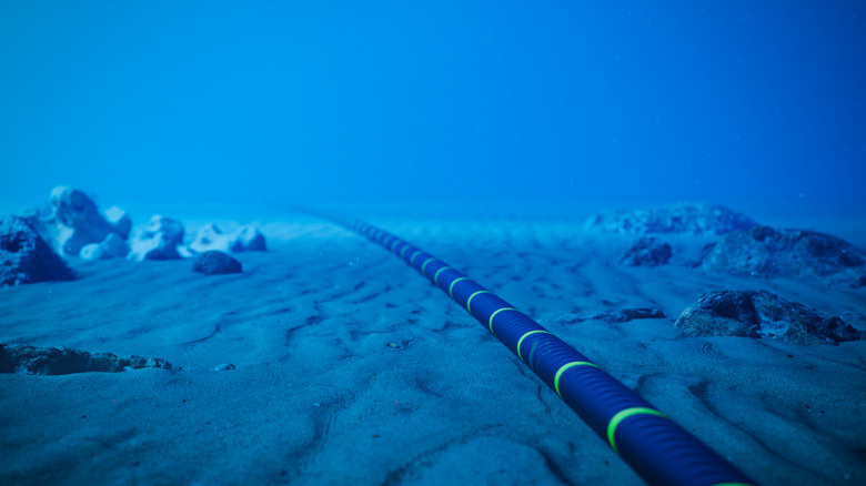 A portion of a submarine fiber optic cable on the ocean floor.