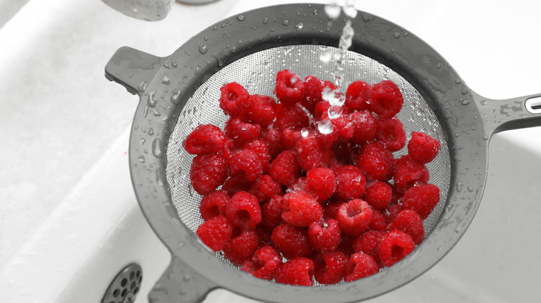 Raspberries in a sieve being washed at the sink