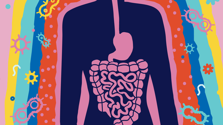 A colorful vector illustration of gastrointestinal system surrounded by various microbes.