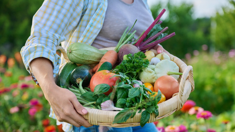 Close up basket of different fresh vegetables