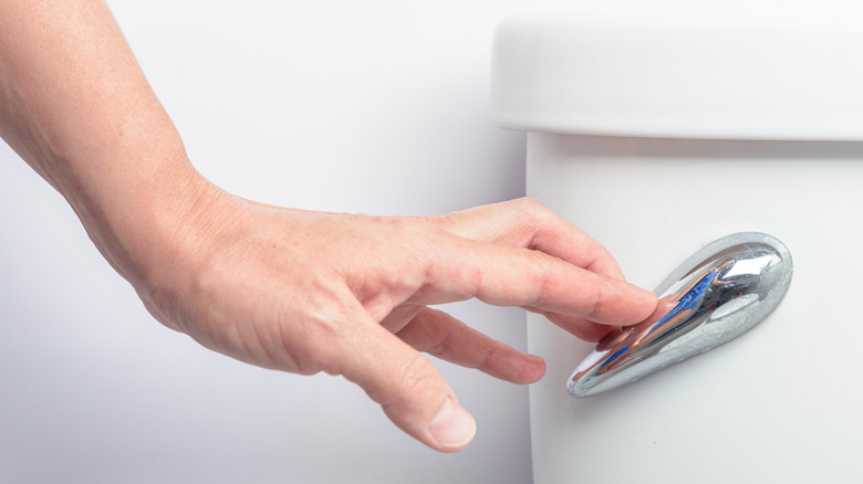 A hand pressing the flush lever on a toilet