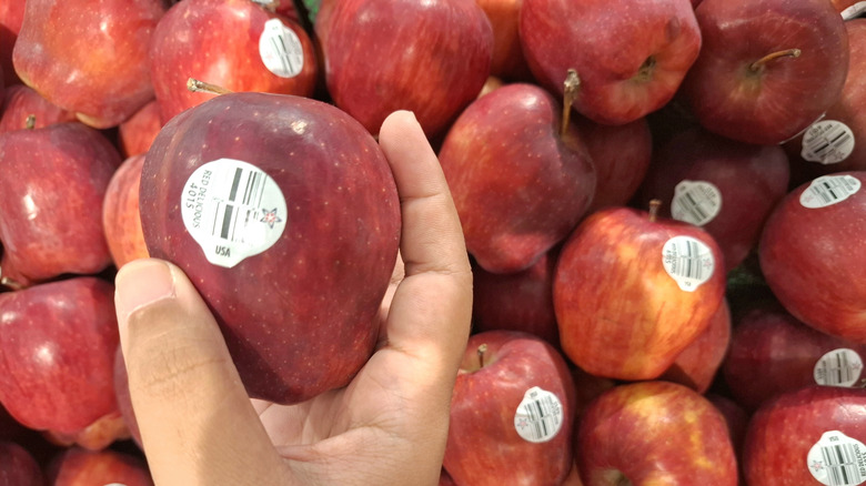 Hand holding a red delicious apple with PLU sticker