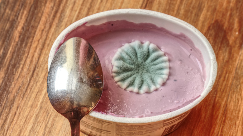 Green circle of mold on top of pink yogurt