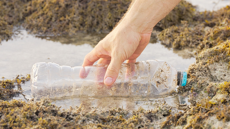 A white hand reaches for a plastic water bottle discarded into a tide pool