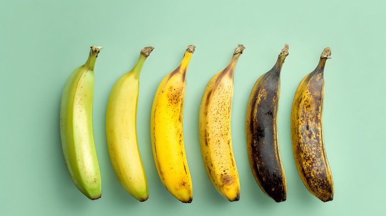 Six bananas on a green background, arranged left to right from green to extremely ripe