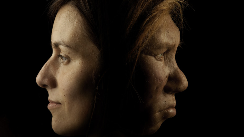 Homo sapiens and Neanderthal women shown in profile