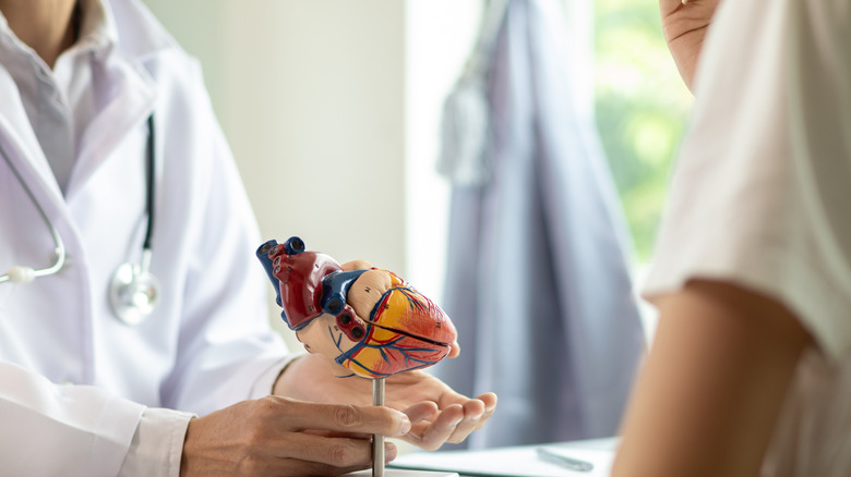 Doctor talking with patient while presenting a model of the heart