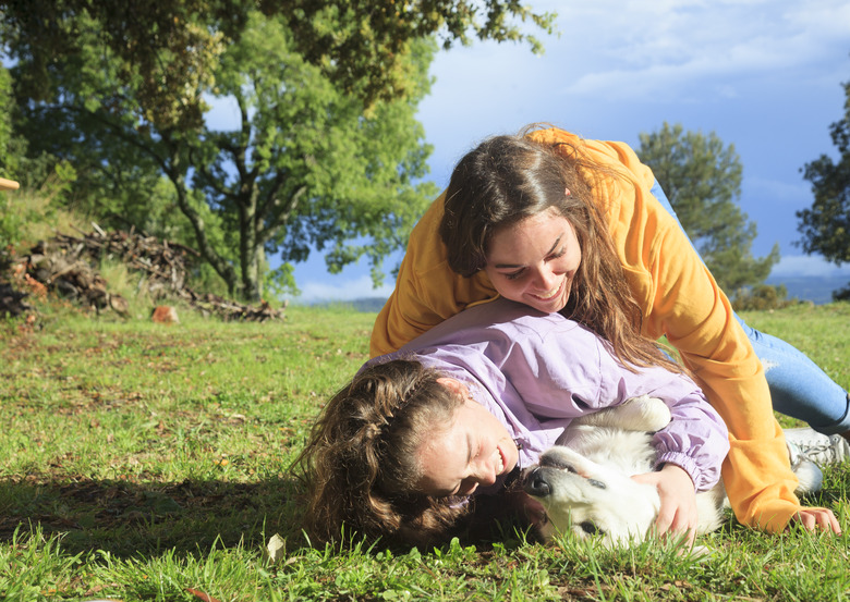Playing with my dog in the meadow