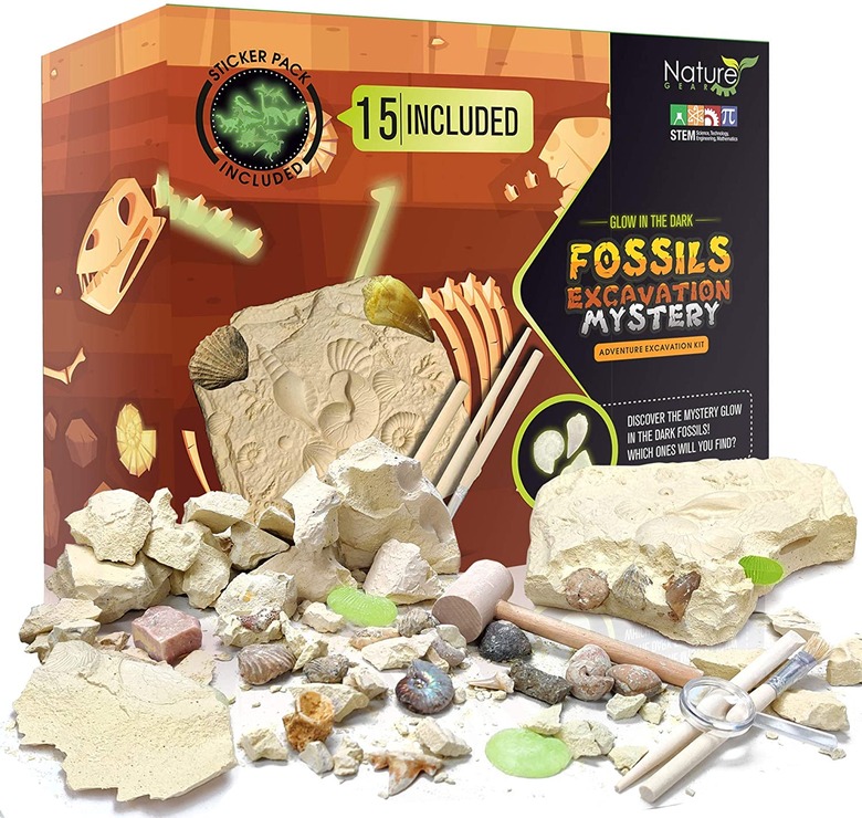 Fossil science kit.