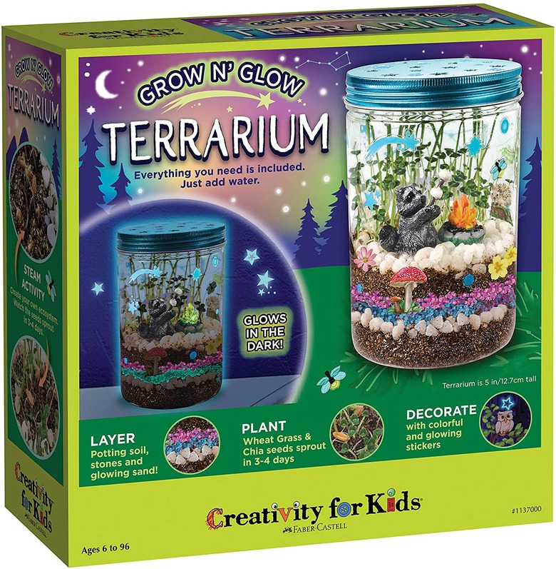 Terrarium science kit