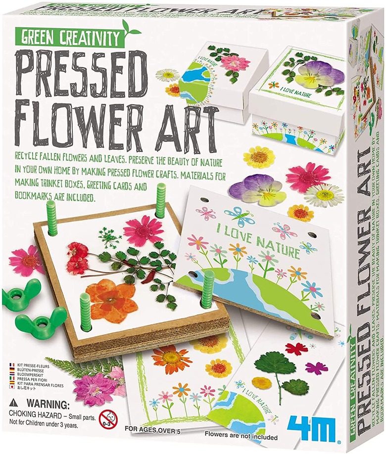 Pressed flower art science kit.