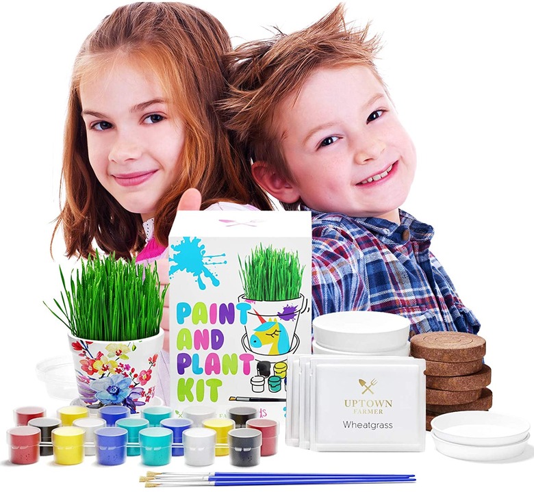 Plant growing science kit.