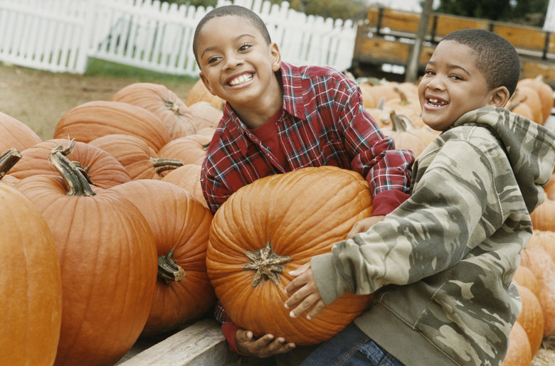 Two Boys Carry a Heavy Pumpkin Together