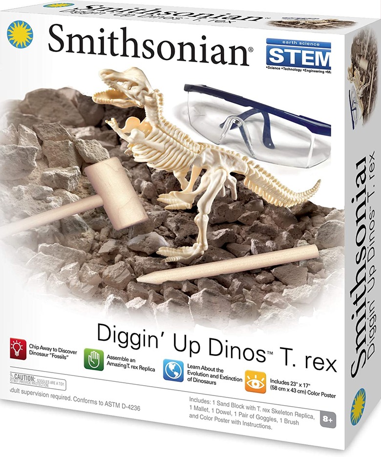Digging up dinosaurs science kit.