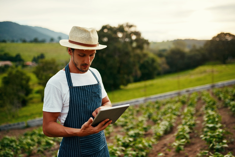 sustainable farming