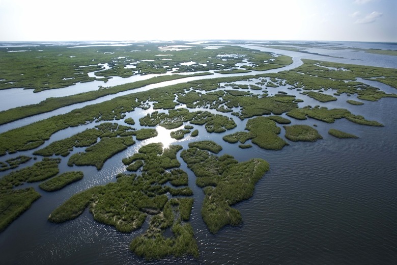 Aerial view of swamp in Louisiana