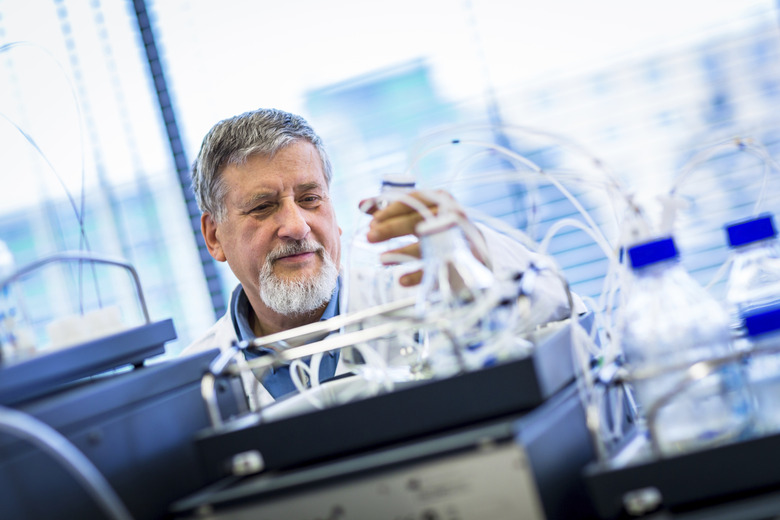 Senior male researcher carrying out scientific research in a lab