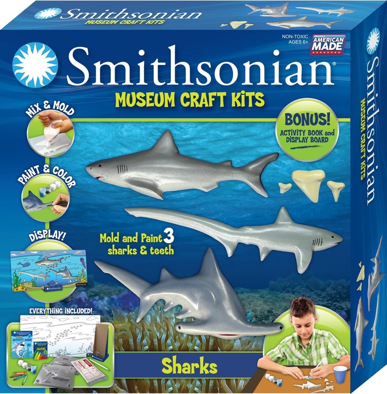 Shark museum model science kit.