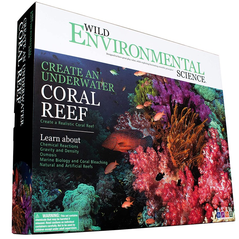 Create your own coral reef science kit.
