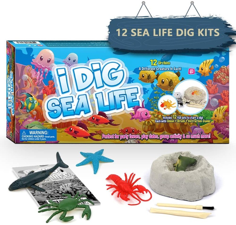 Underwater dig sea life science kit.