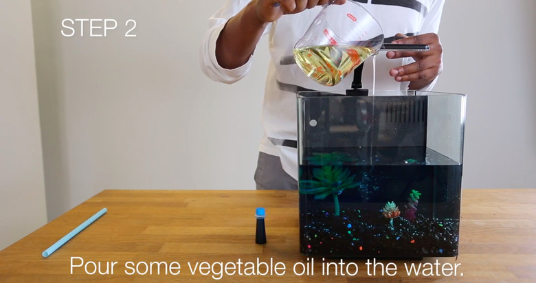 oil spill science experiment