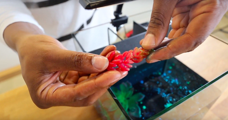 oil spill science experiment