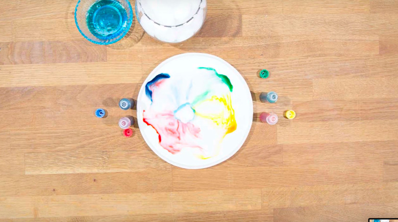 dawn dishwashing liquid science project