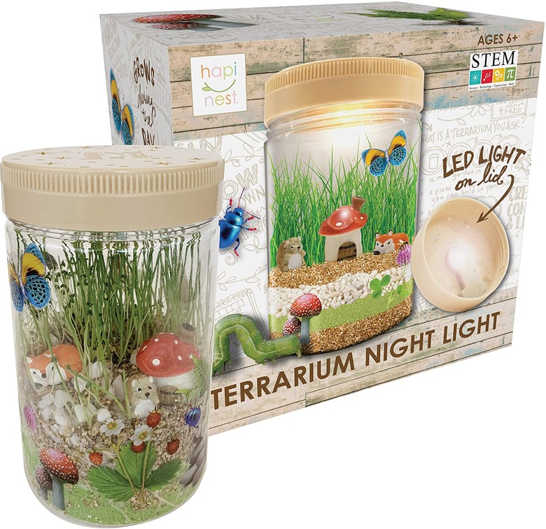 Light up terrarium